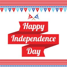 Happy independence day N20