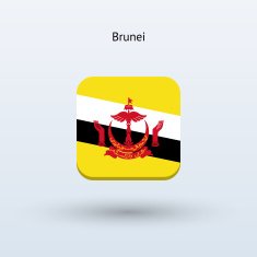 Brunei flag icon N3