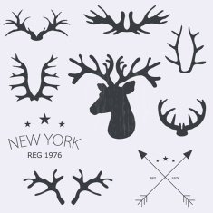 Deer horns set Vector illustration