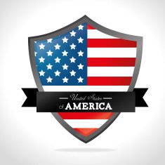 USA design vector illustration N29