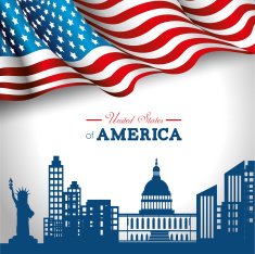 USA design vector illustration N31