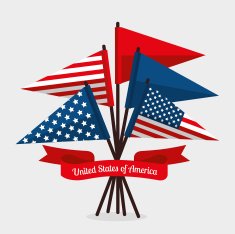 USA design vector illustration N32