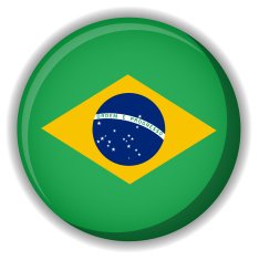 Brazil flag button N5