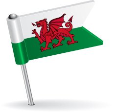 Welsh pin icon flag Vector illustration