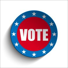 United States Independence Day Button N7