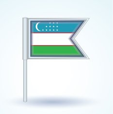 Flag of Uzbekistan vector illustration N19