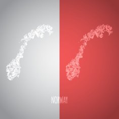Low Poly Norway Map with National Colors