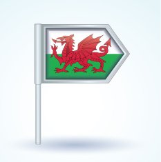 Flag of Wales vector illustration N11