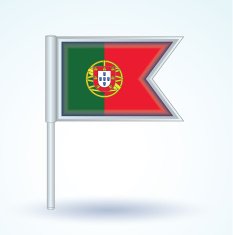 Flag of Portugal vector illustration N10