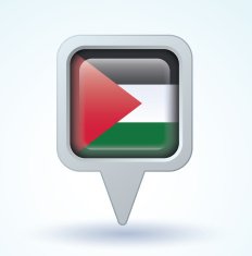 Flag of Palestine vector illustration N11