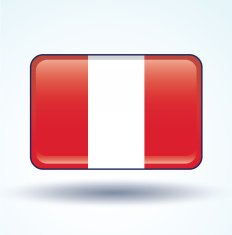 Flag of Peru vector illustration N9