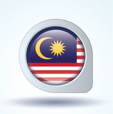 Flag of Malaysia vector illustration N9