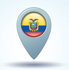 Flag of Ecuador vector illustration N11
