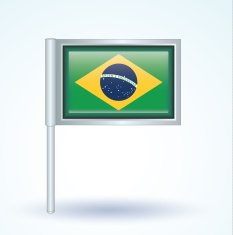 Flag of Brazil vector illustration N9