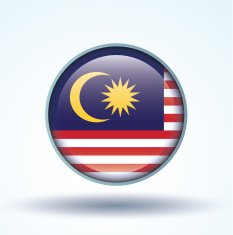 Flag of Malaysia vector illustration N10