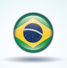 Flag of Brazil vector illustration N10