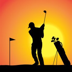 Vector silhouette of a man N252
