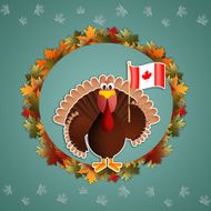 Turkey with flag of Canada N2