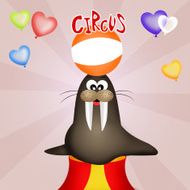 circus show
