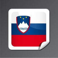 Slovenia Flag Icon N6