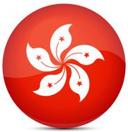 Hong Kong Flag N31