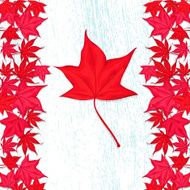 Flag of Canada N43