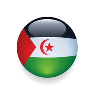 World Flag Button Western Sahara