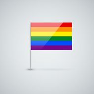 Rainbow Flag N20