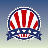 Election Vote Badge N2