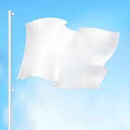 white waving flag N2