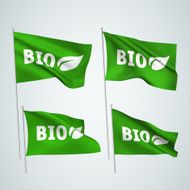 Bio with leaf - green vector flags