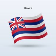 State of Hawaii Flag N2