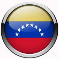 venezuela flag gel metal button