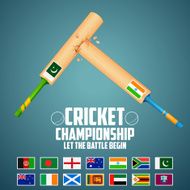 Cricket bat of different participating countries N7