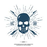 Skull with Crossed Arrows isolated on white Vector