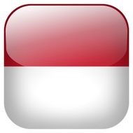 Indonesia national flag square button isolated on white background