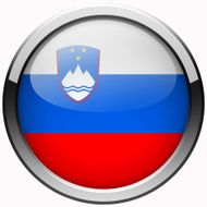 slovenia flag gel metal button