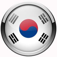 south korea flag gel metal button