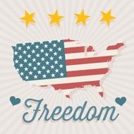 USA Icons N13