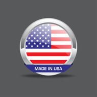 American Flag Vector Icon