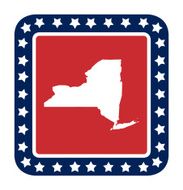 New York state button N2