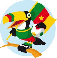 Cameroun toucan