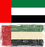 United Arab Emirates grunge flag N3