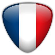 France Flag Glossy Button N4