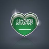 saudi arabia N6