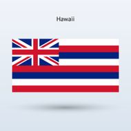 State of Hawaii Flag N3