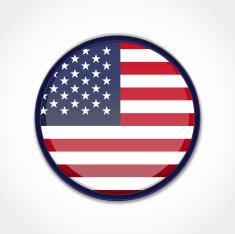 USA Flag N106