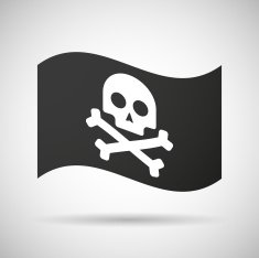 Pirate Flag N51