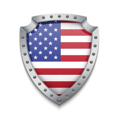 Shield with american flag N2