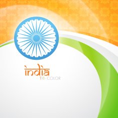 creative indian flag N20